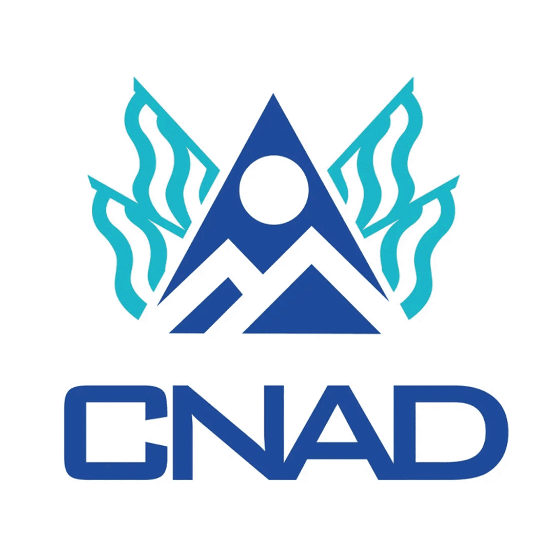 Comisión Nacional de Activos Digitales- El Salvador's Government